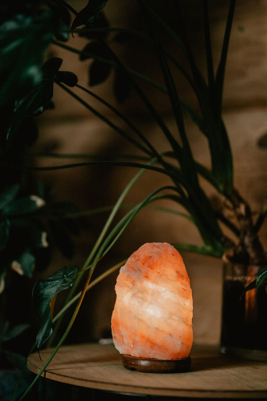 Lampara de Sal himalaya